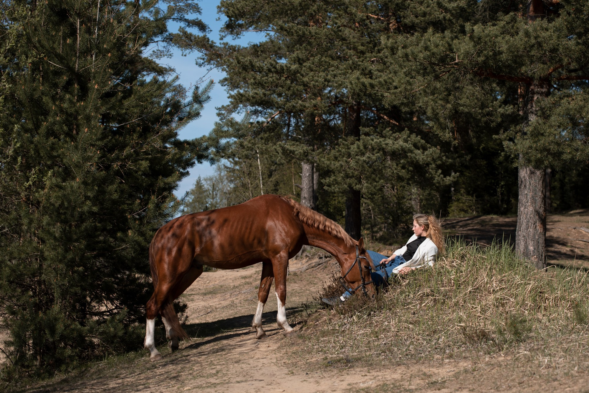 фотосессия с символом года, символ года, символ 2026 года, год лошади, Портретная съемка, портрет конника, портрет всадника, съемка проекта, фотография, фотограф спб, портретный фотограф спб, студийная съемка, фотосессия недорого, фотограф спб, недорого фото съемка в студии, профессиональный фотограф, фотограф питер, фотосет, фотосессия, съемка с лошадью, фотосессии с лошадьми, конный фотограф, конная фотография, фото с лошадью
