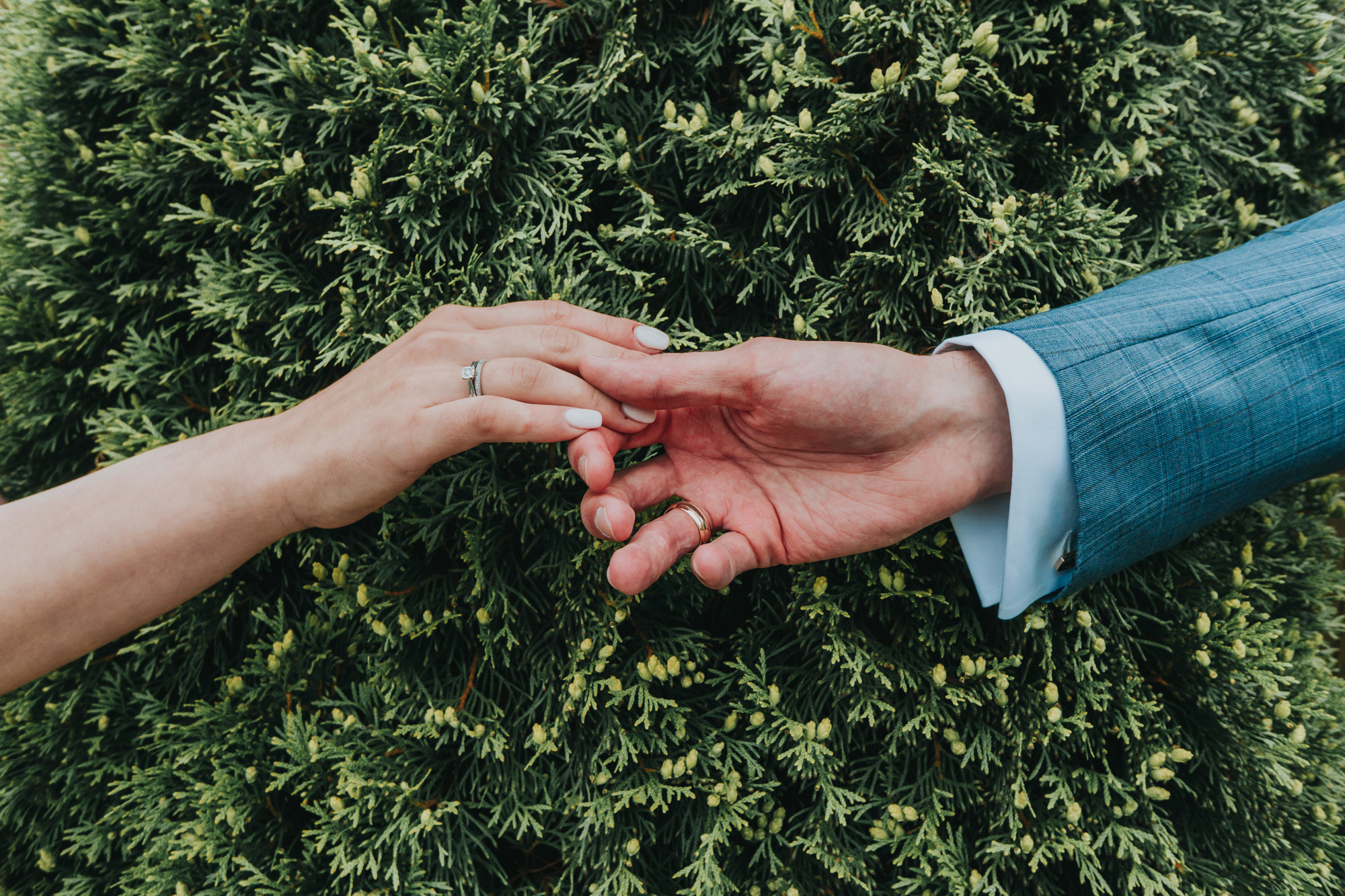 Идеи для свадебной фотосессии. Свадебный фотограф в Москве