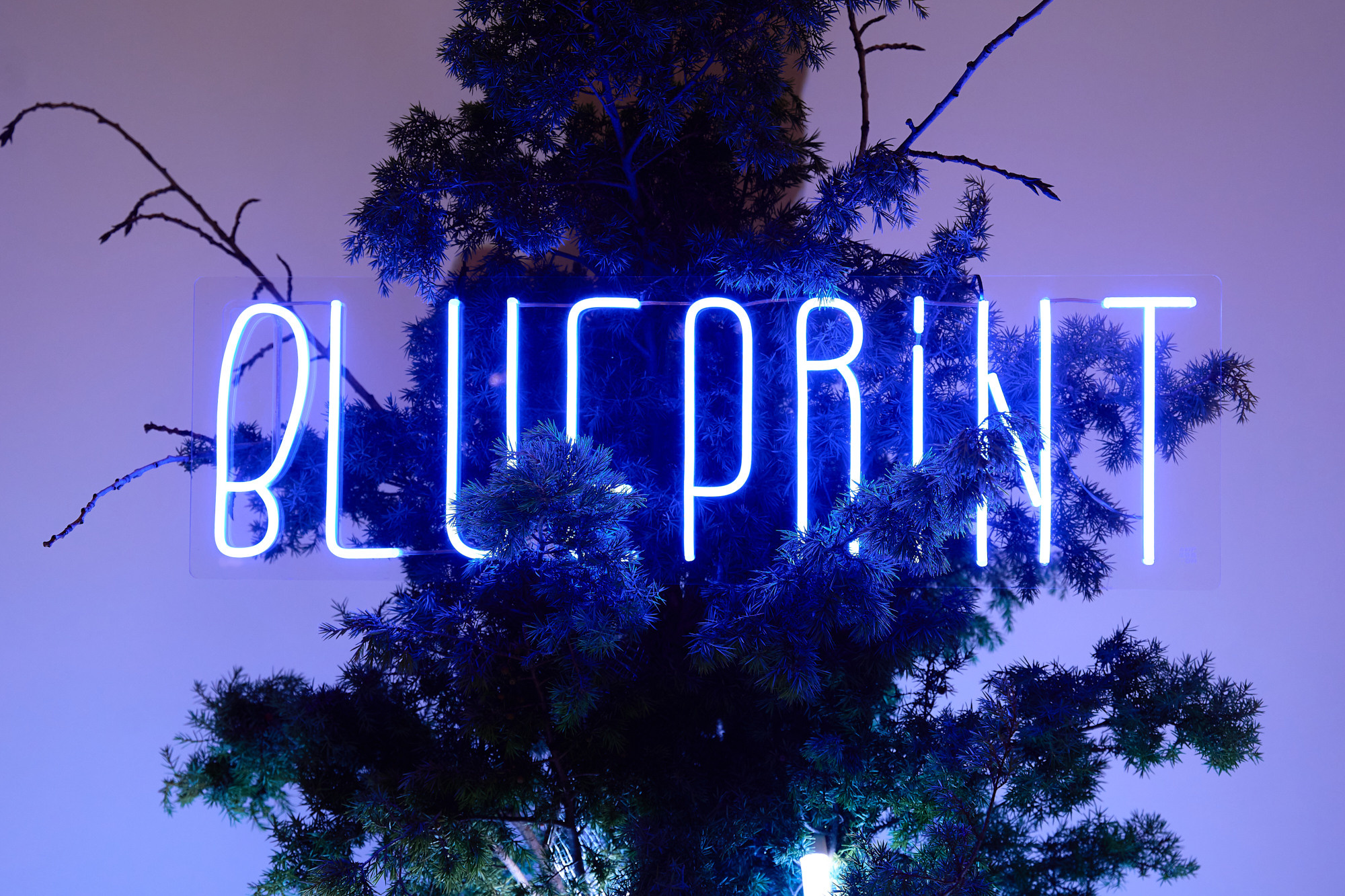 THE BLUE PRINT 100. Портретный и репортажный фотограф в Москве Острикова Анастасия