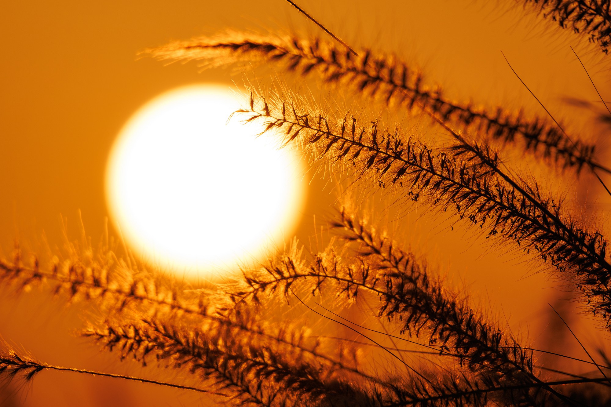 О себе. Фотограф Кирилл Казачков