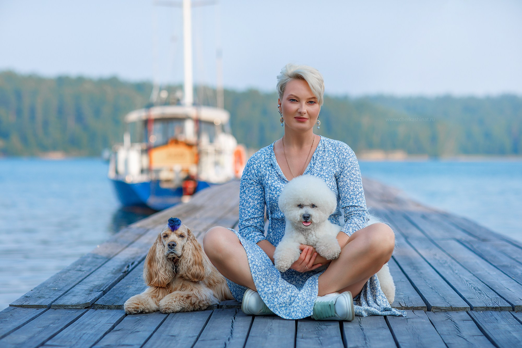 Для клиентов. Фотограф для Вашей собаки