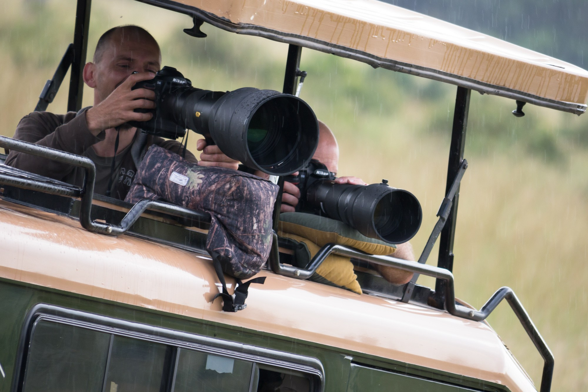 Африка. Кения. Фотосъёмка животных в африканской саванне. Фотограф Алексей Скоробогатько