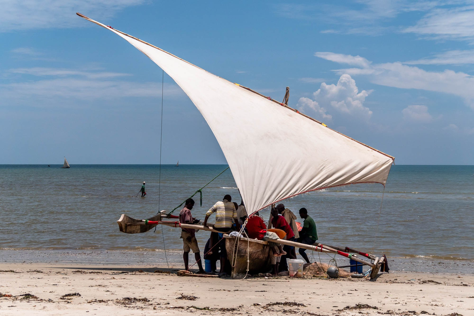 Танзания, Восточная Африка, остров Занзибар. Tanzania, East Africa, Zanzibar Island. Фотограф Алексей Скоробогатько