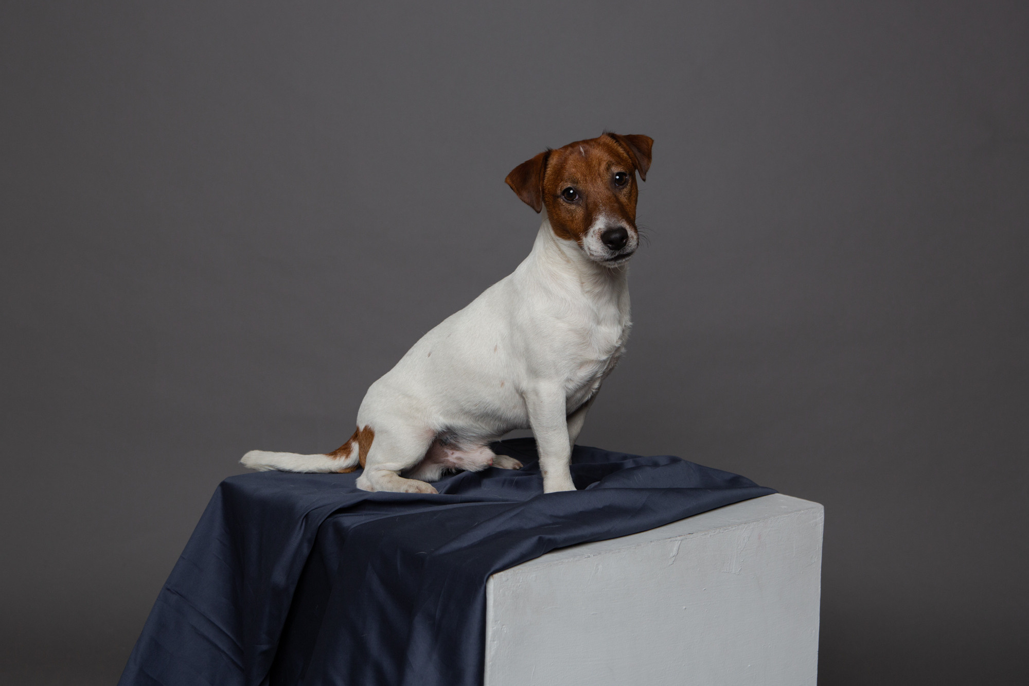 Выставка ''Черный ящик'' с 16 марта по 16 апреля 2021 года