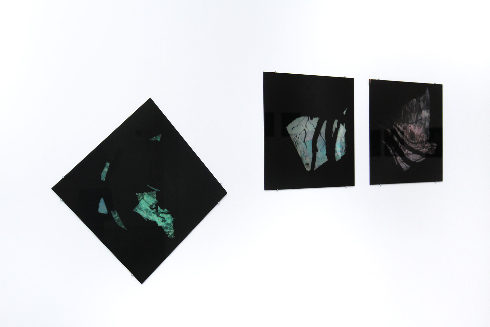 Интервью с Анастасией Богомоловой