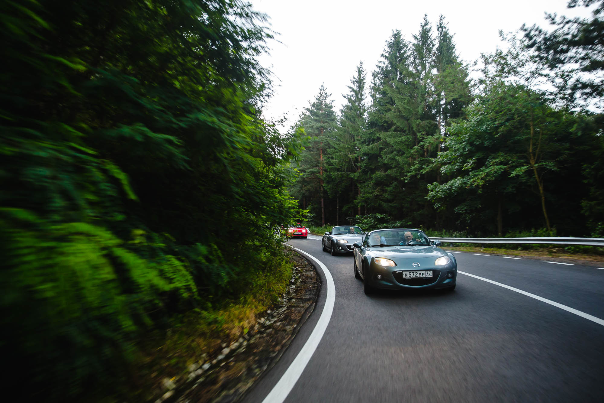 Путешествие в Румынию | Часть 1/4. Фотограф Дмитрий Питерский