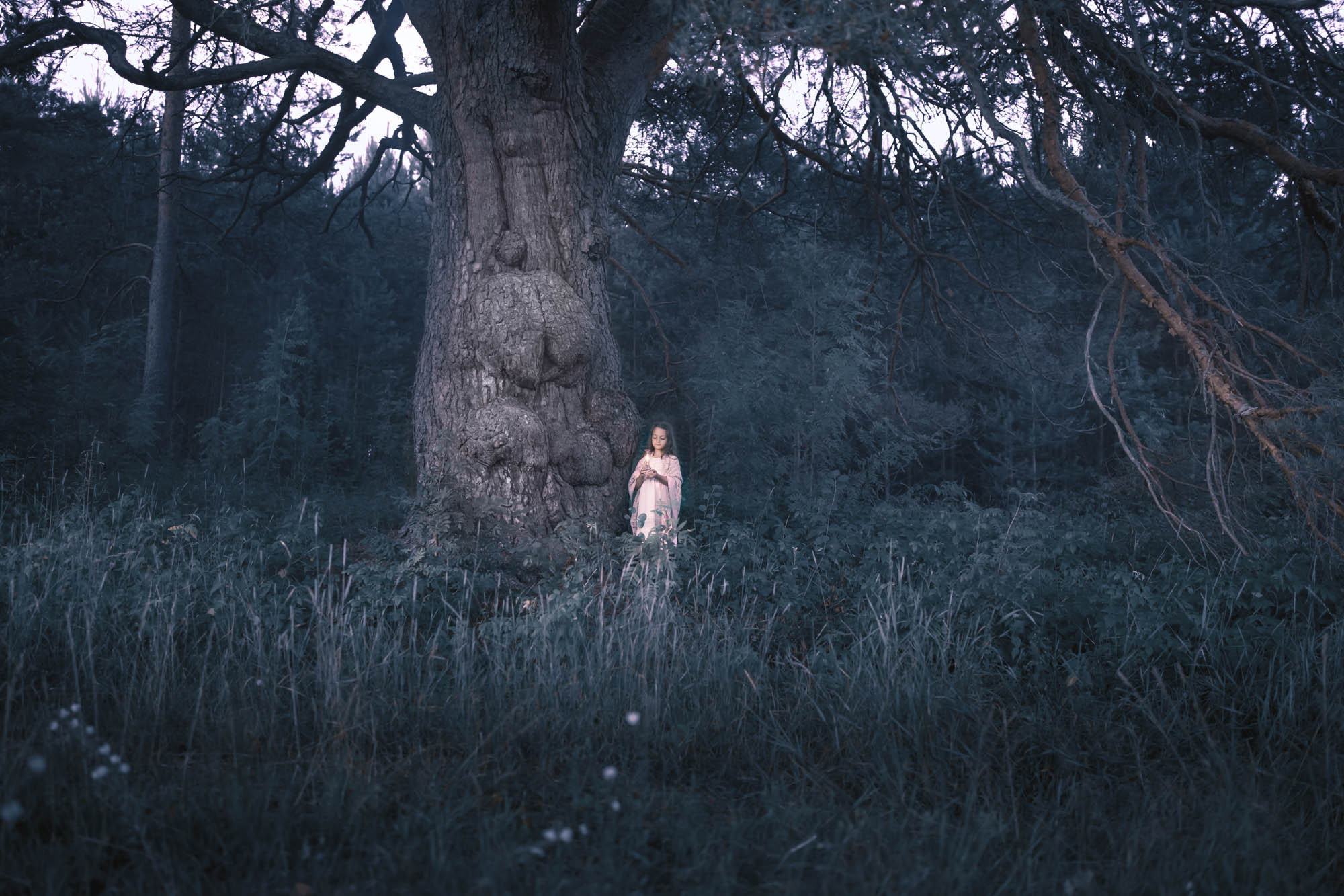 The oldest tree Russia is&nbsp;located in&nbsp;Tver region? An&nbsp;old pine tree. Photo of&nbsp;a&nbsp;fabulous old tree. Tver region. a&nbsp;little girl and an&nbsp;old tree. Photographer Svetlana Korneliuk