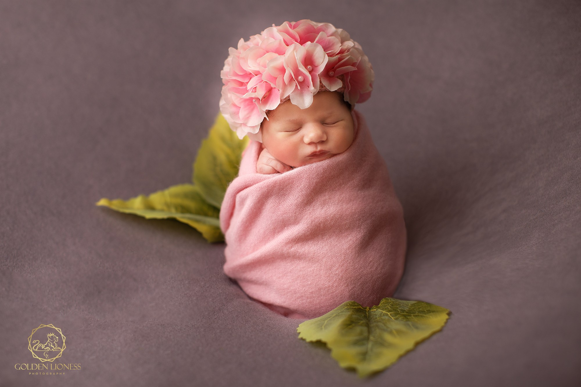 Информация. GoldenLioness | Фотосессия новорожденных детей (newborn) Москва