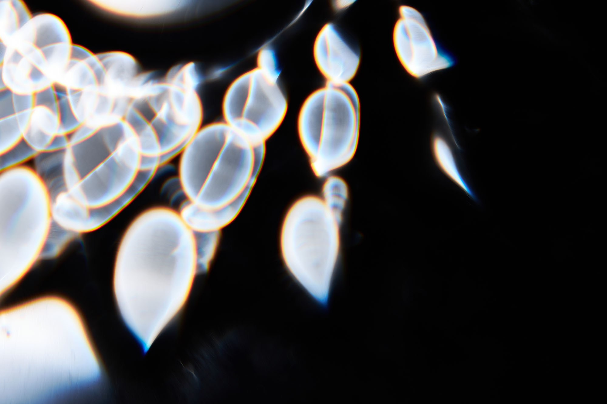 Приобрести макро-абстракцию | Арт-фотография. Sandra Marselly | Абстрактная Макро-Фотография