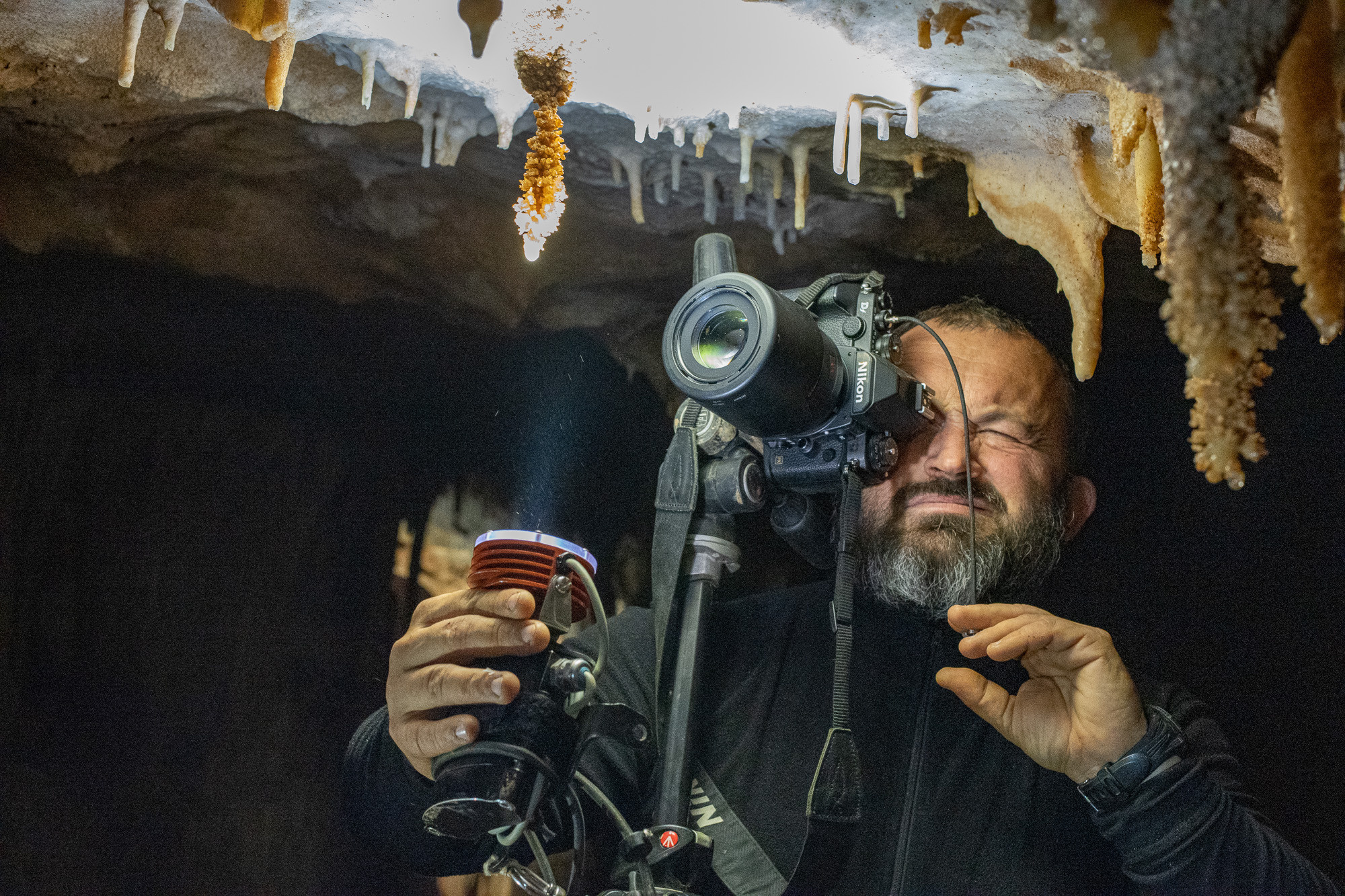 Контакты фотографа Андрея Кривошеина. Профессиональная фотосъемка. Ростов-на-Дону