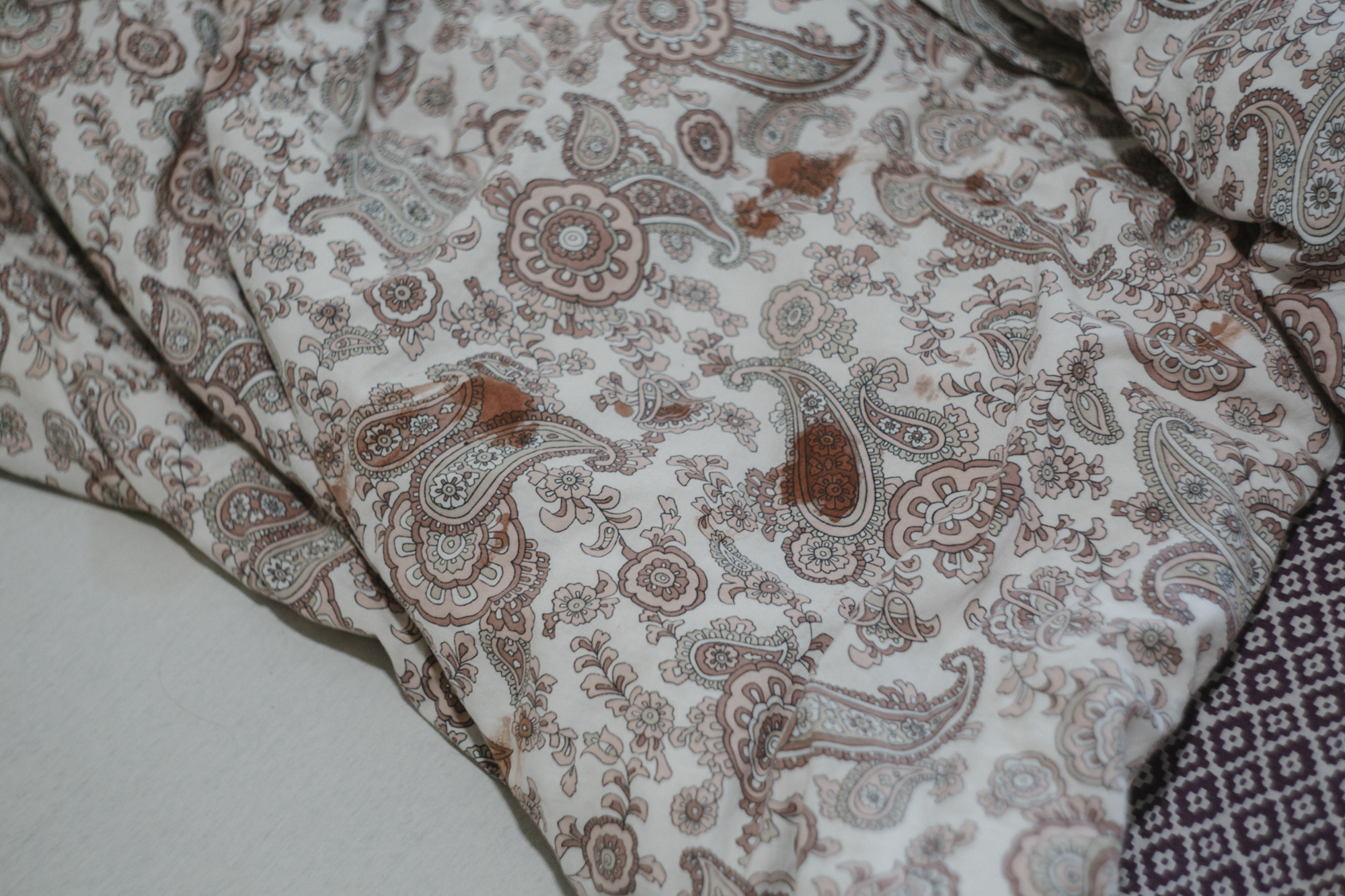 Менструация — это нормально. Козлова Екатерина. Междисциплинарная визуальная художница