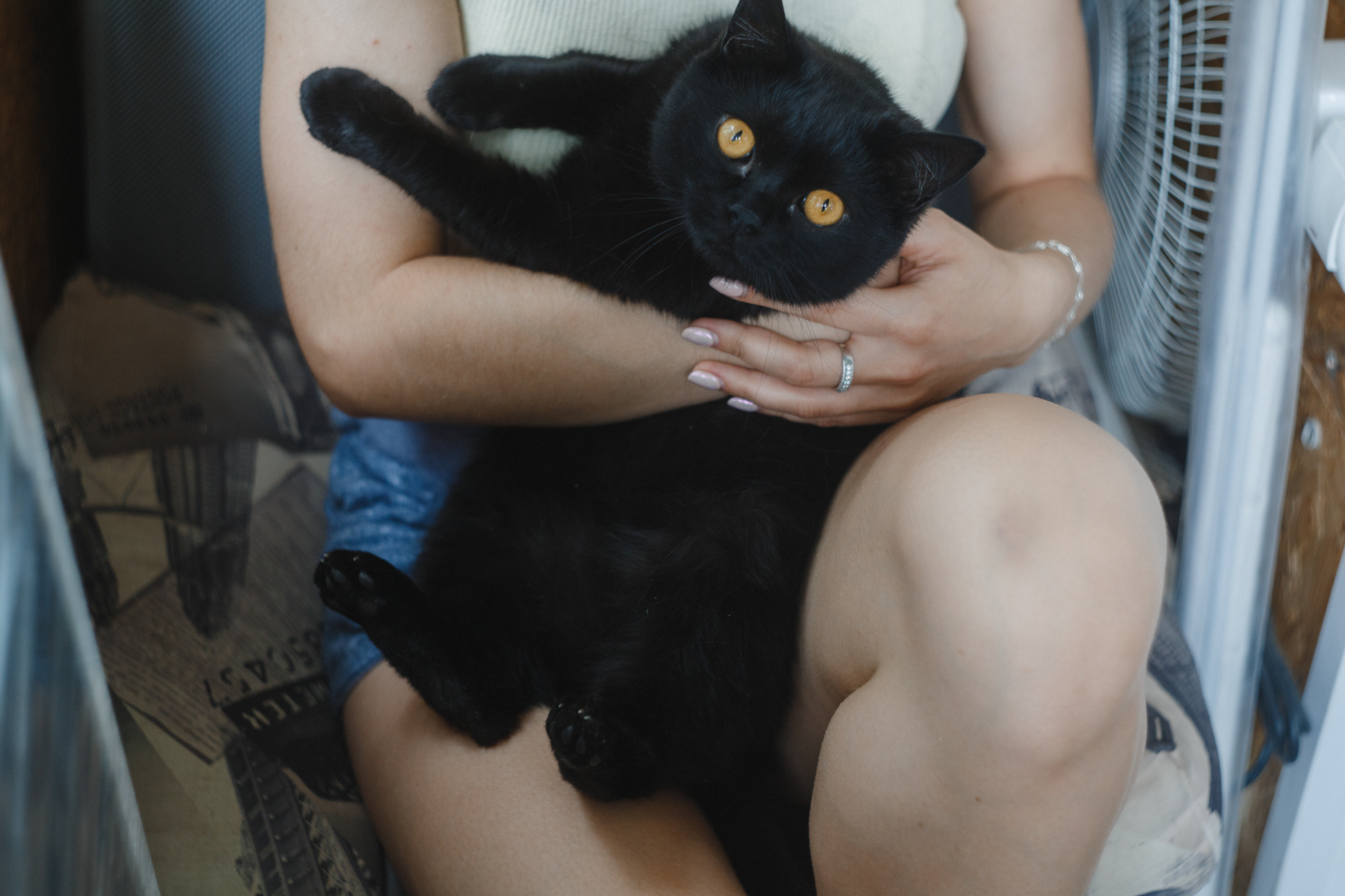 Менструация — это нормально. Козлова Екатерина. Междисциплинарная визуальная художница