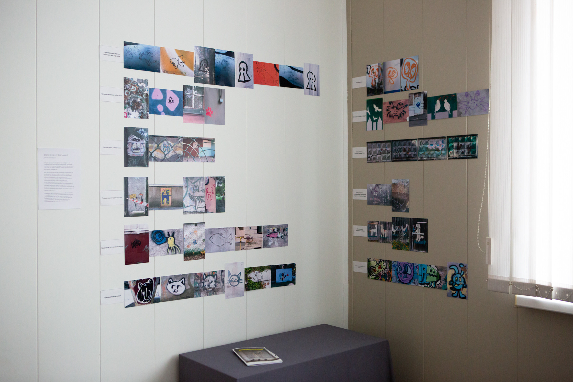 Природоведение. «ФотоСинтез»