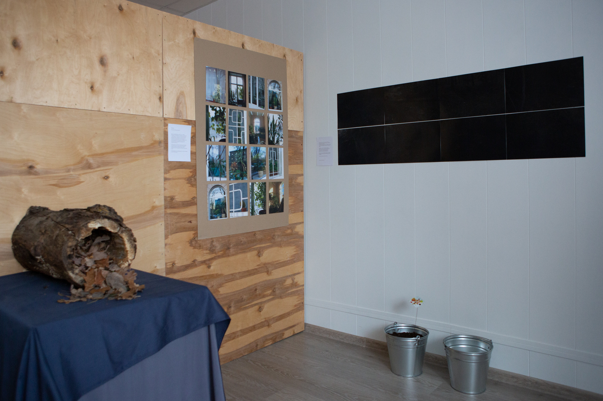 «ФотоСинтез»