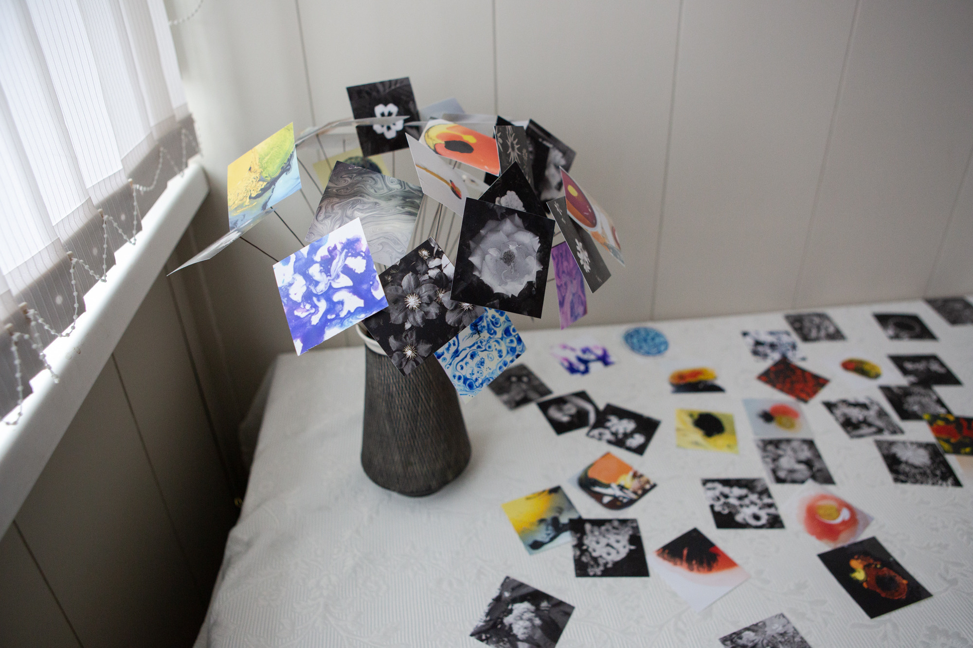 Природоведение. «ФотоСинтез»