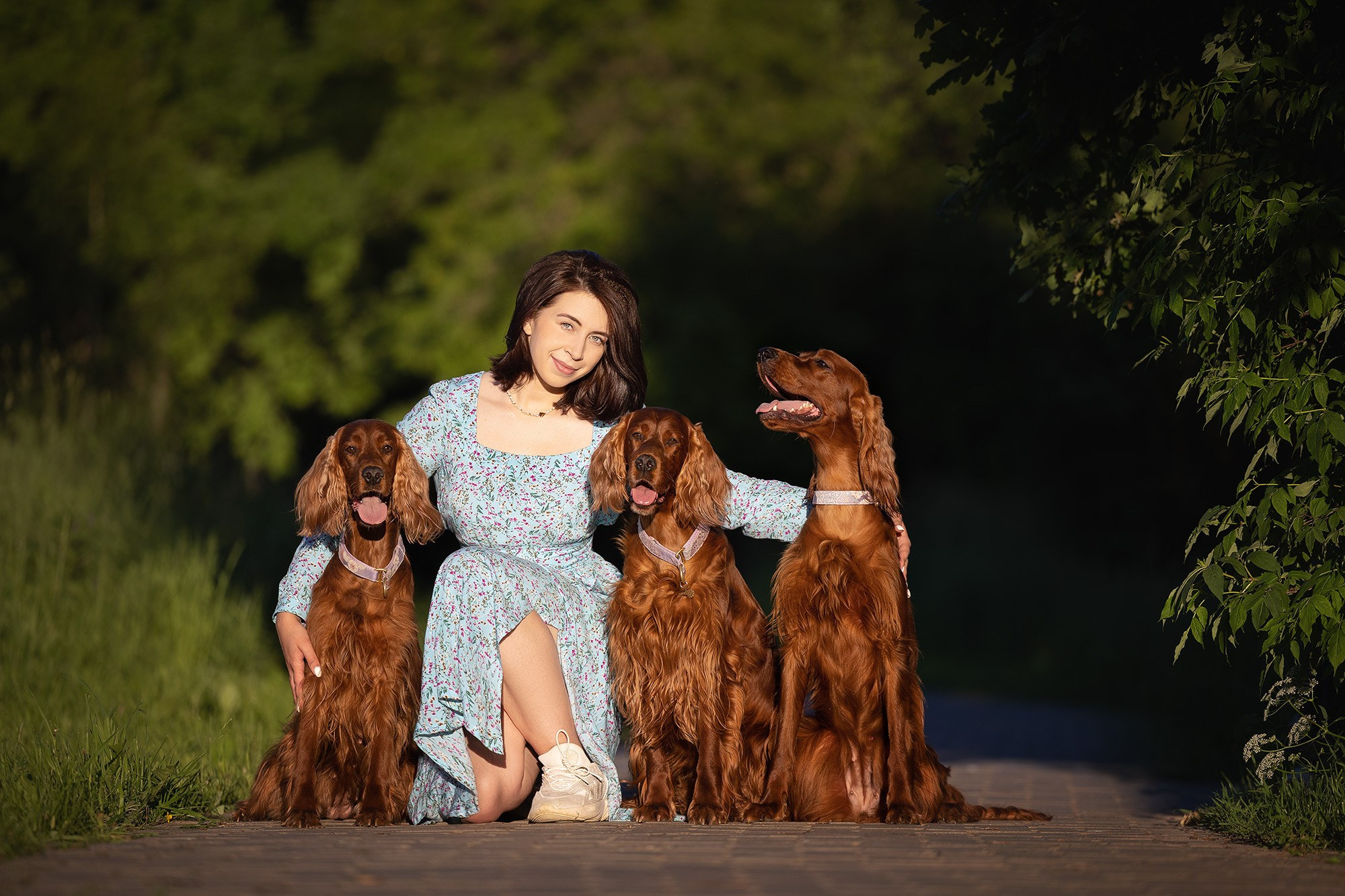 Онлайн-курс по съемке собак. Фотограф Анастасия Ветковская, Москва