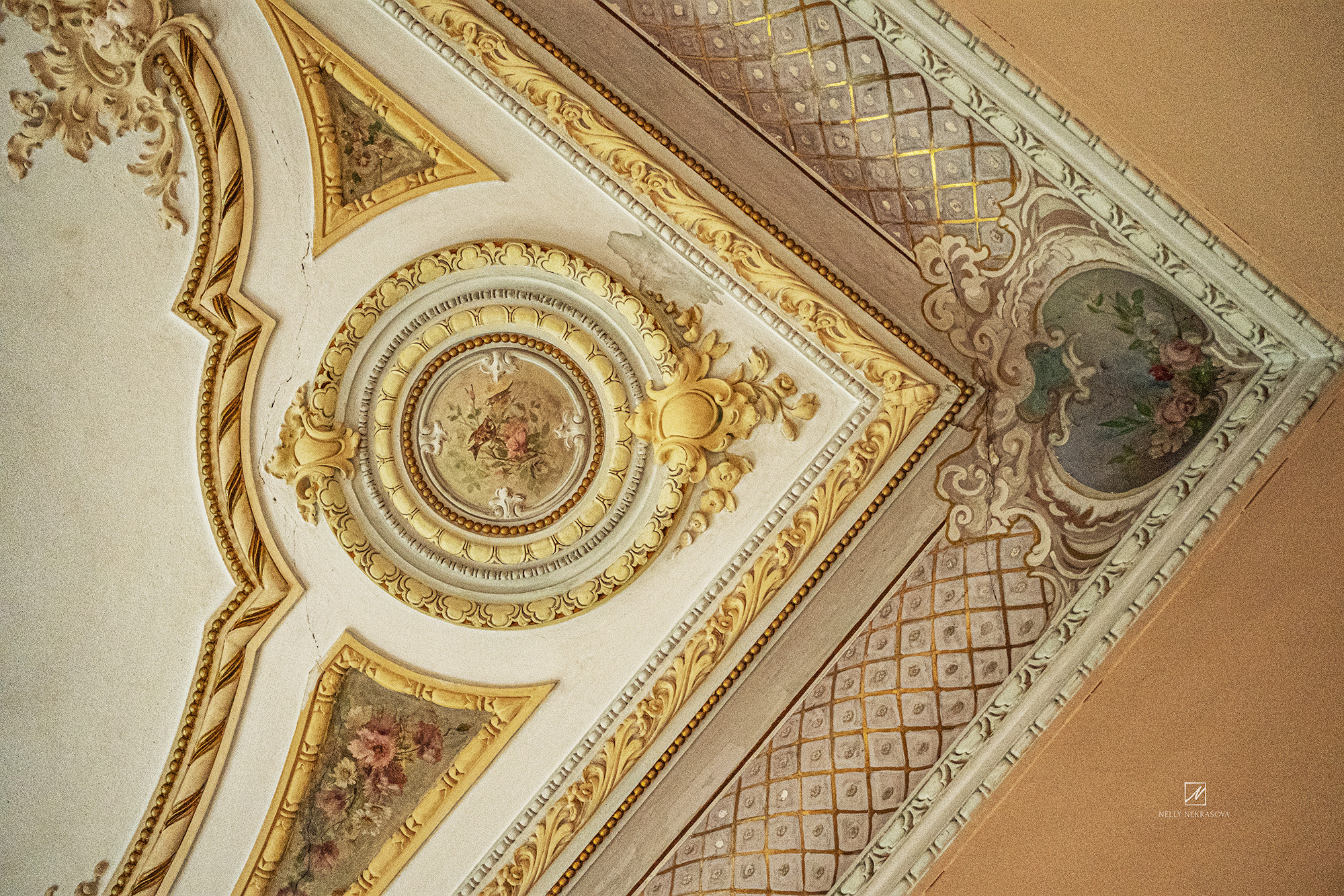 Дом Ушковой в Казани. Фотограф и искусствовед в Туле и Санкт-Петербурге Нелли Некрасова