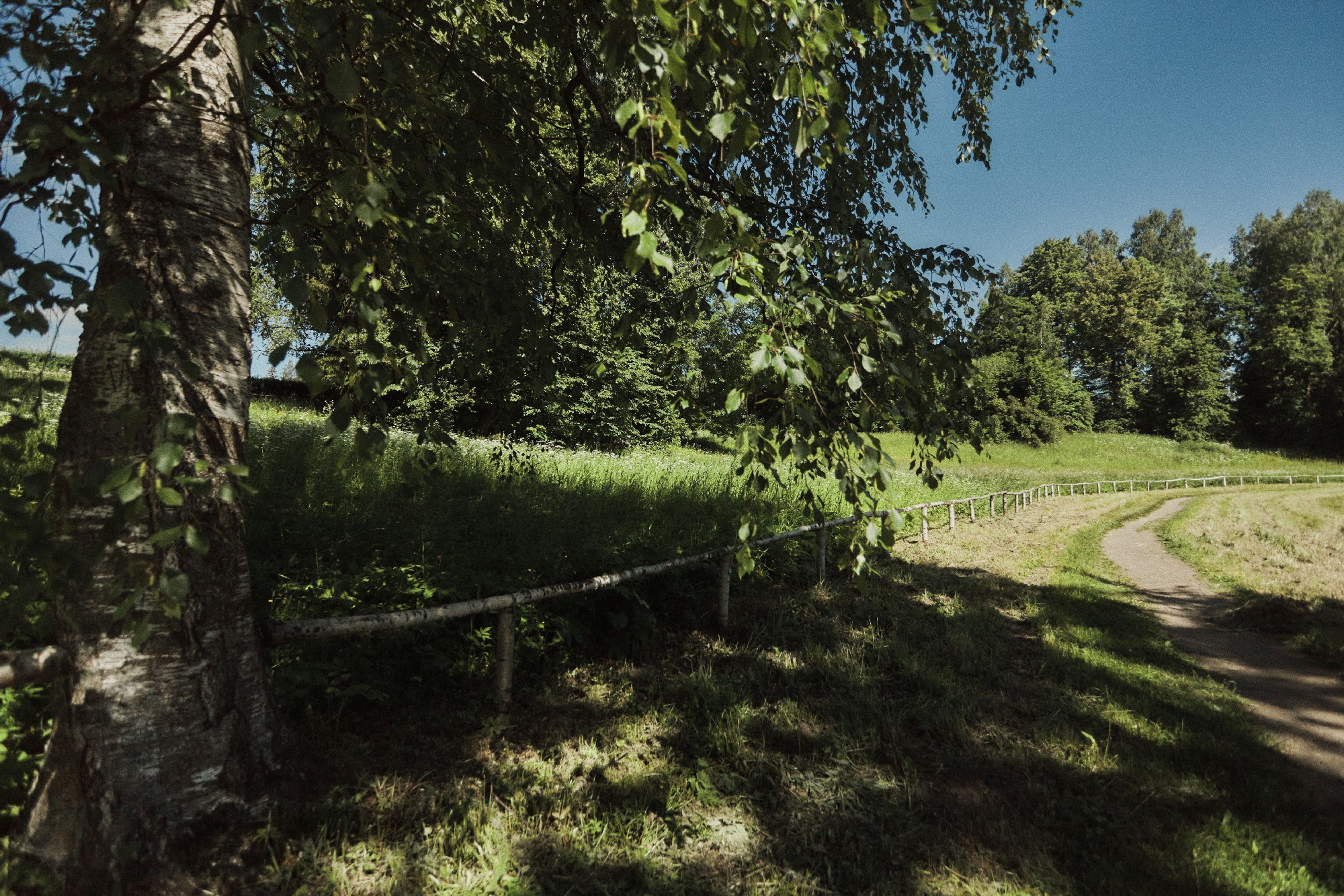 Портретная съёмка СИНИОКО в Павловске с Надеждой из ARLETTE MANAGEMENT. Одежда из Санкт-Петербурга СИНИОКО