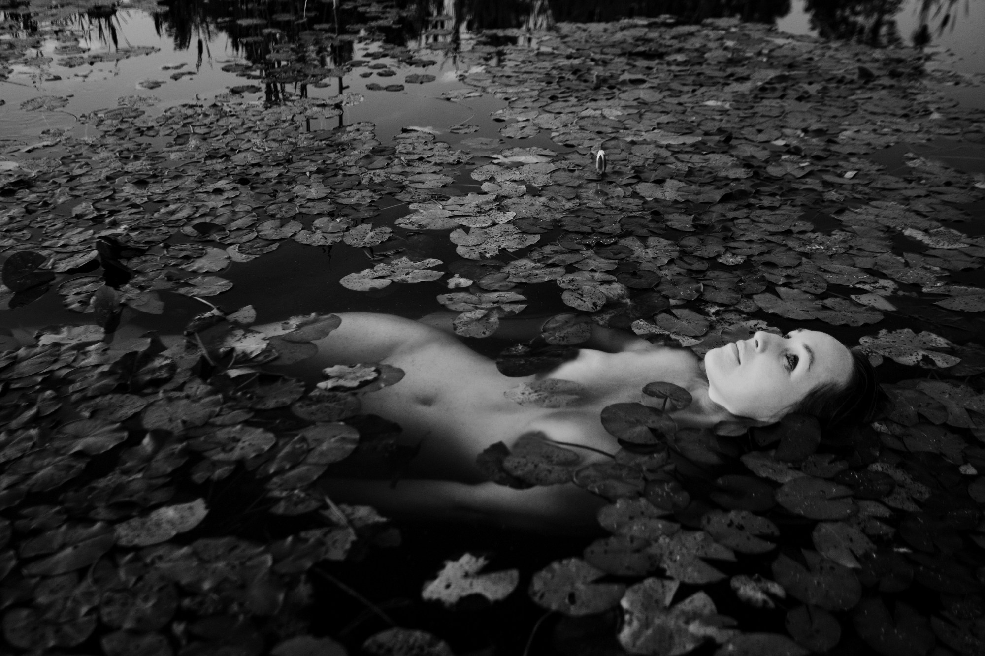 Щукарёва Евгения. Организация фотовыставок в Петербурге и Москве, MFamilia (МФамилия)