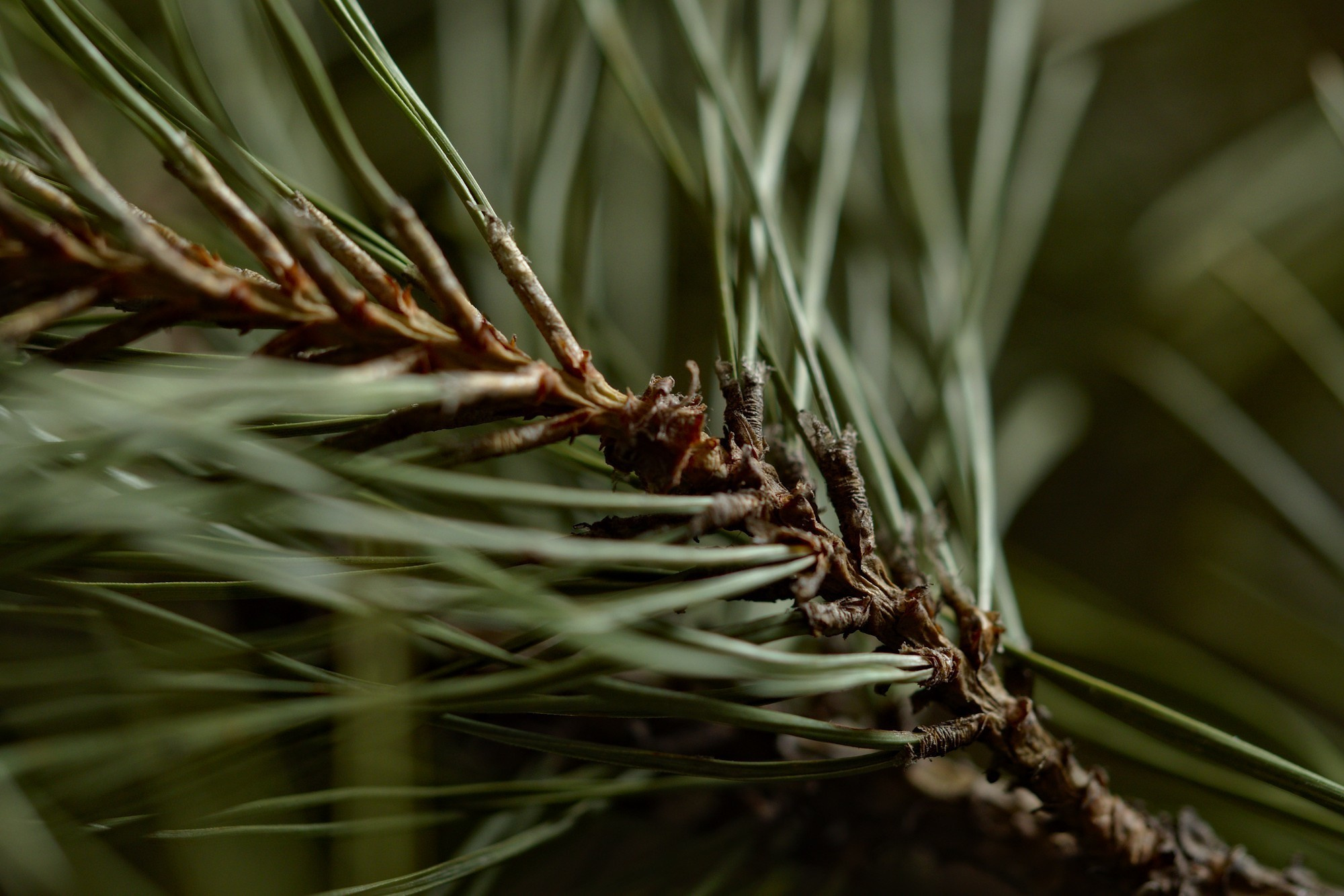 Контакты. Предметный фотограф Мария Белка