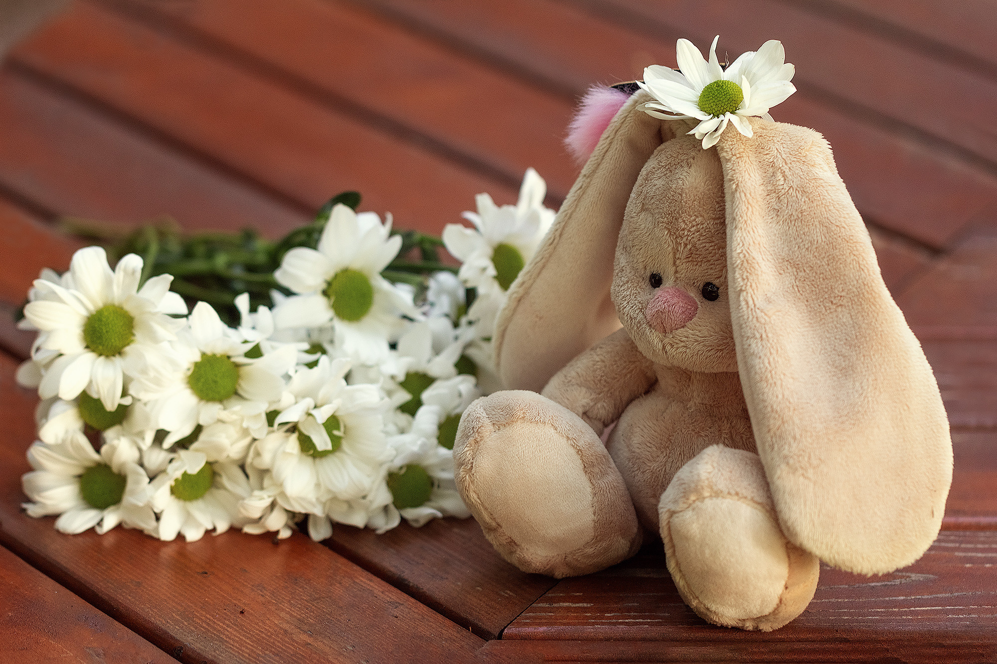 Увлекательное путешествие по живописному парку. Семейный фотограф в Калининграде Надежда Гриднева