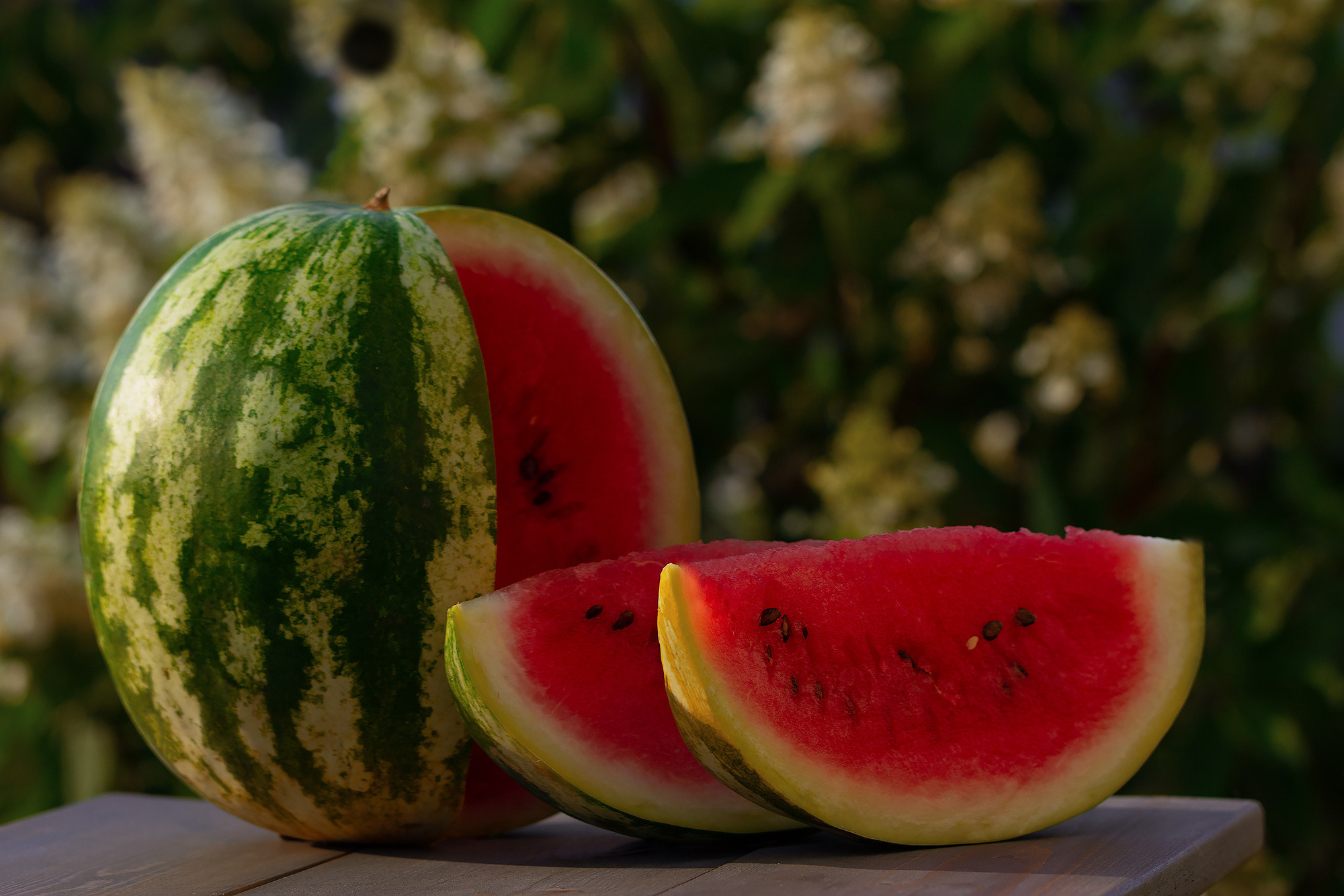 10 причин провести летнюю съемку на природе. Семейный фотограф в Калининграде Надежда Гриднева