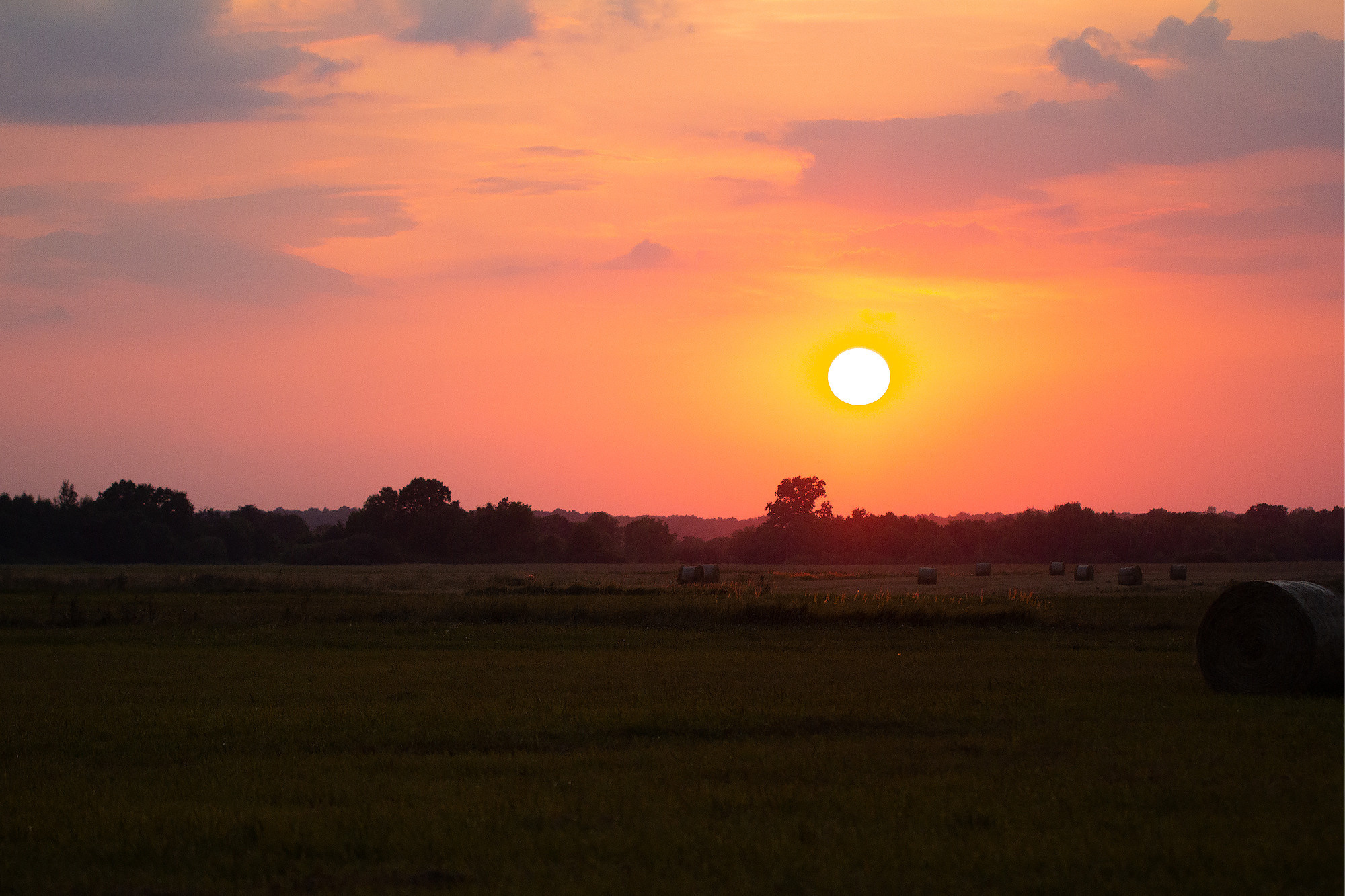 10 причин провести летнюю съемку на природе. Семейный фотограф в Калининграде Надежда Гриднева