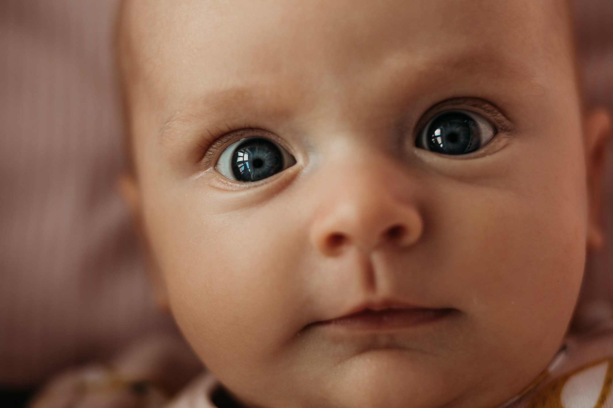 Тройняшки в джинсах на руках у мамы и папы.