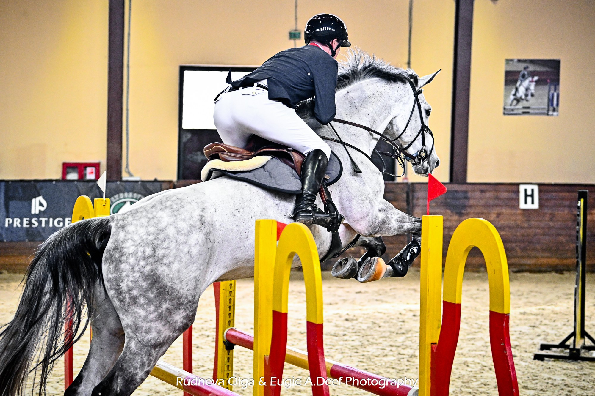 Кубок КСК «Отрада» по конкуру в помещении. ТУРНИРНАЯ КОННАЯ ФОТОГРАФИЯ, Руднева Ольга и Евгений Адеев
