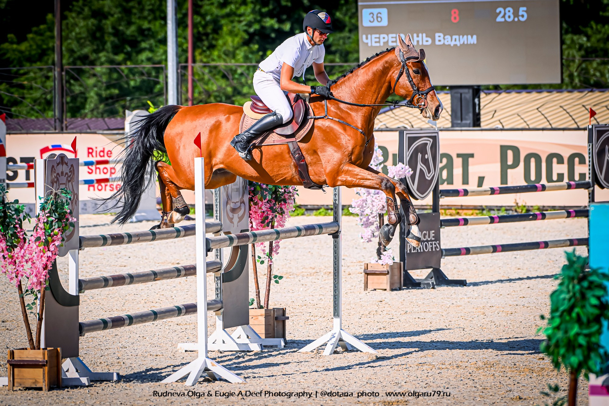 Командный драйв_(2й-этап)_КСК_Виват, Россия!. ТУРНИРНАЯ КОННАЯ ФОТОГРАФИЯ, Руднева Ольга и Евгений Адеев