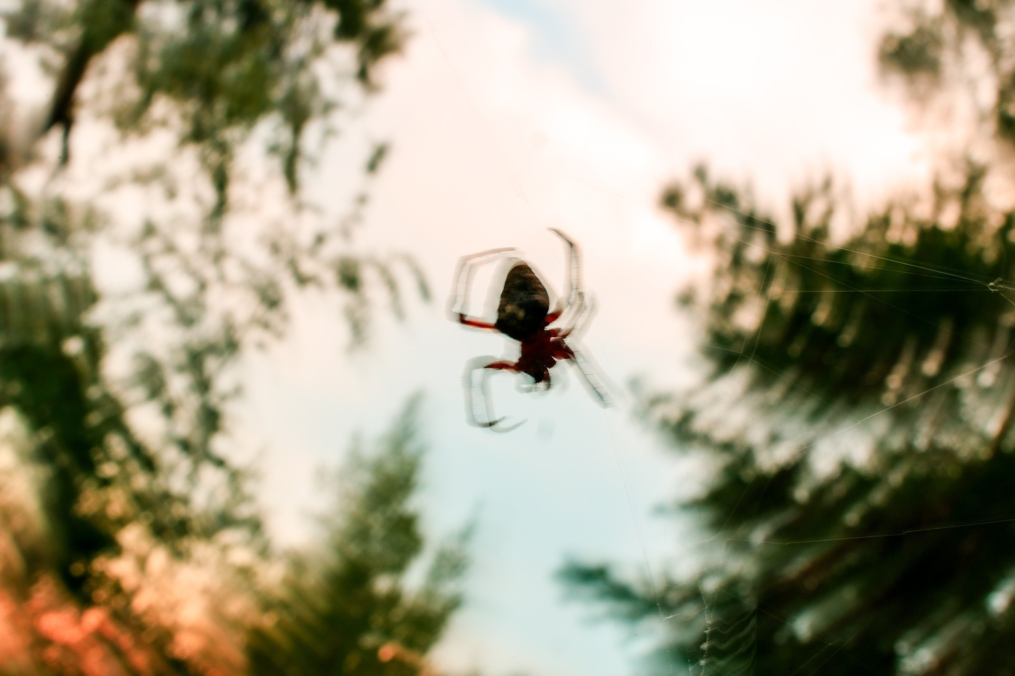 Видеть красоту в привычном. Фотограф в городе Каменск-Уральский — Метелёв Андрей