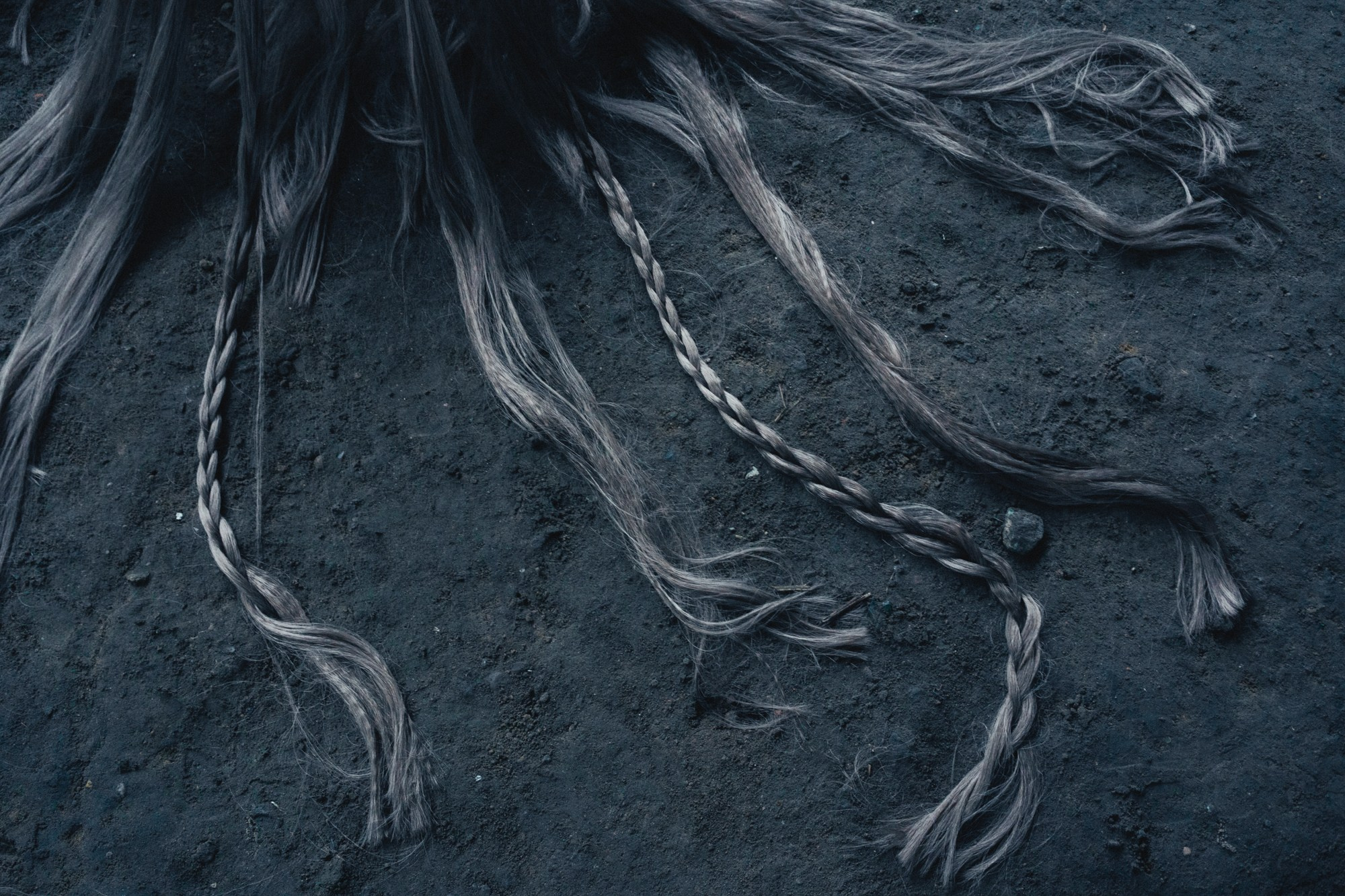 Я в порядке. Ирина Петрова. Современный художник