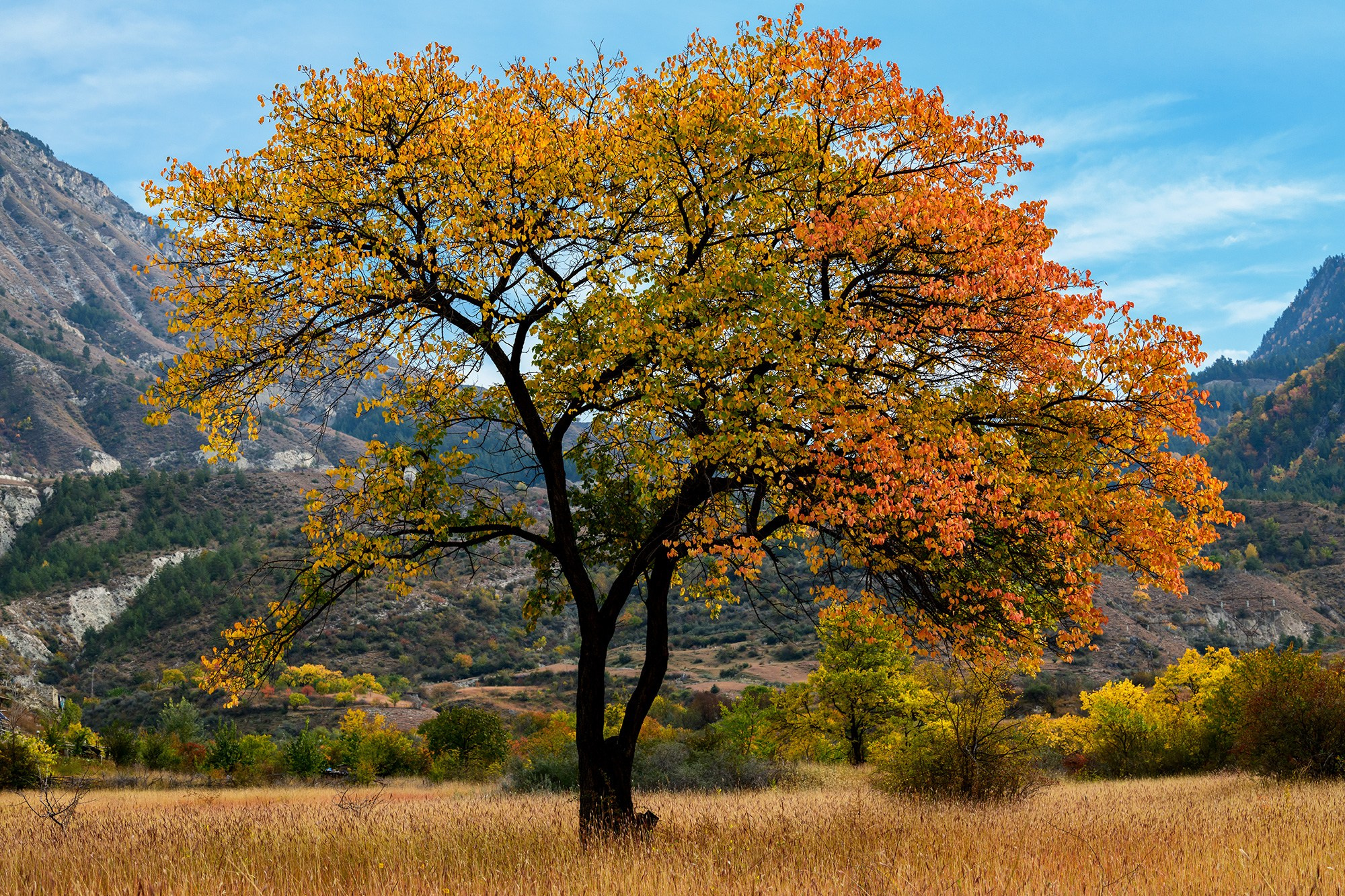 Осенние пейзажи Дагестана
