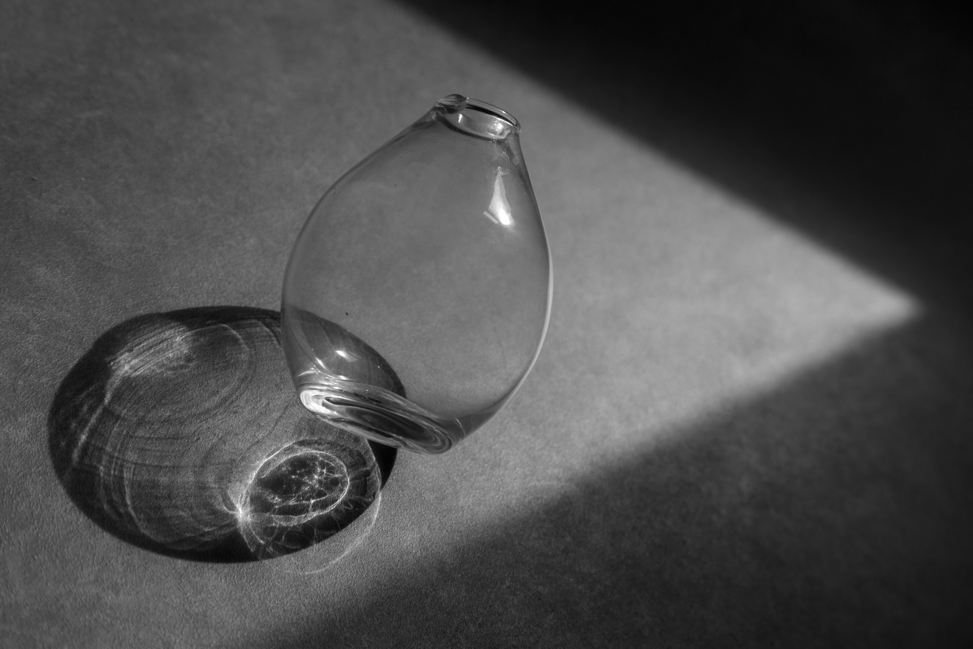 Выставка «Место под солнцем». Фотограф Юлия Близнецова