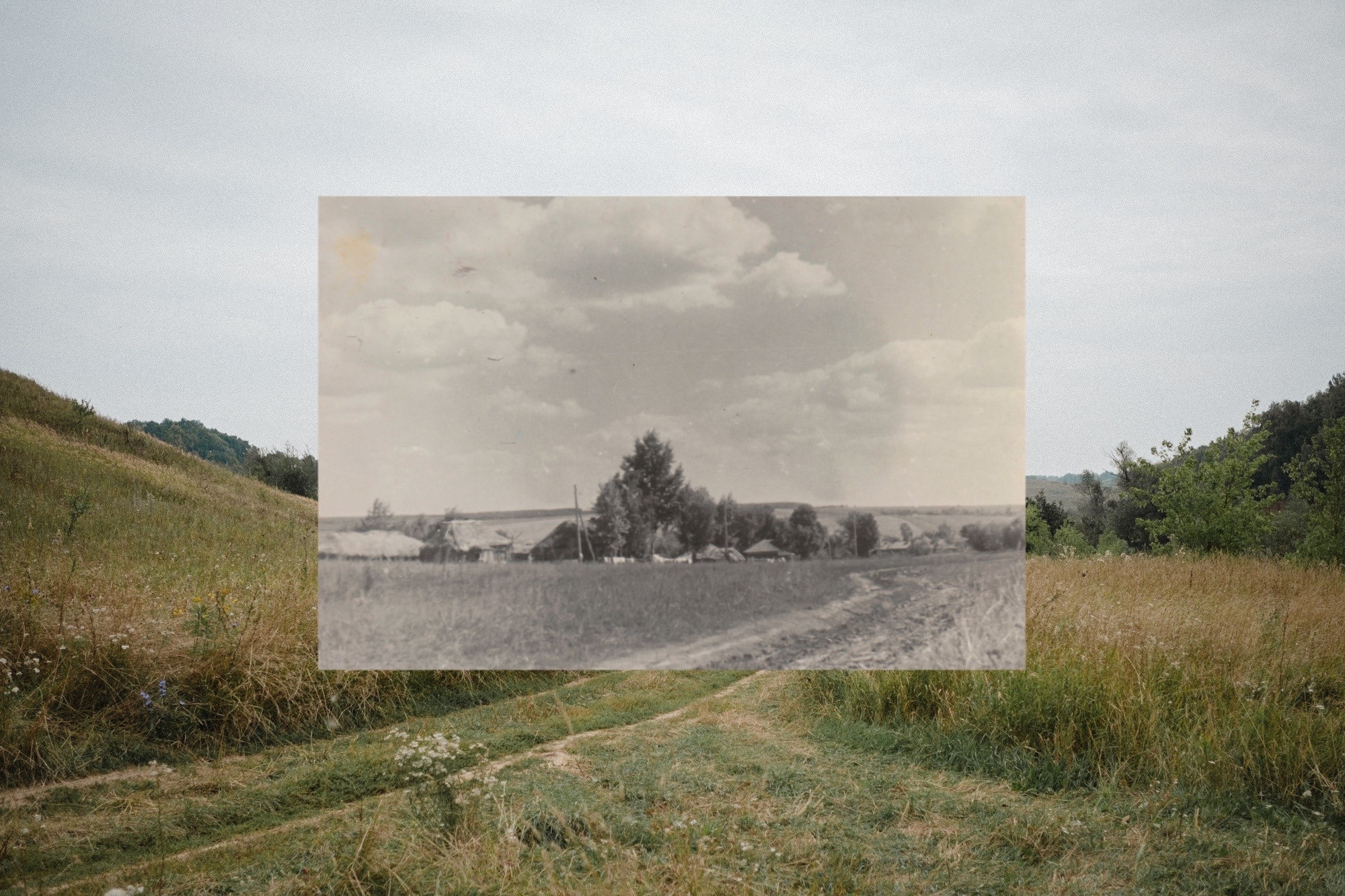 Another swallow | ongoing. Nasti Davydova