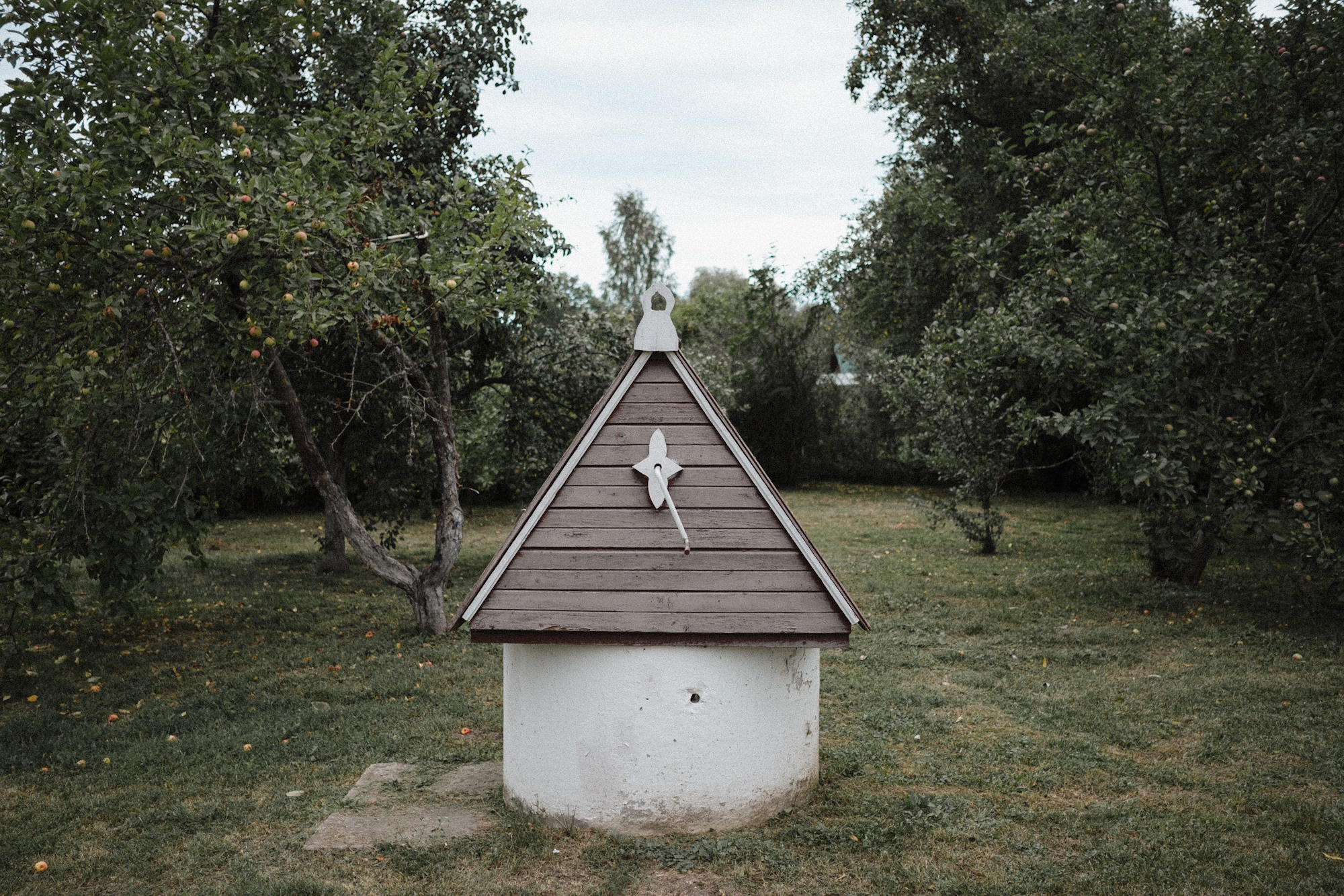 Another swallow | ongoing. Nasti Davydova