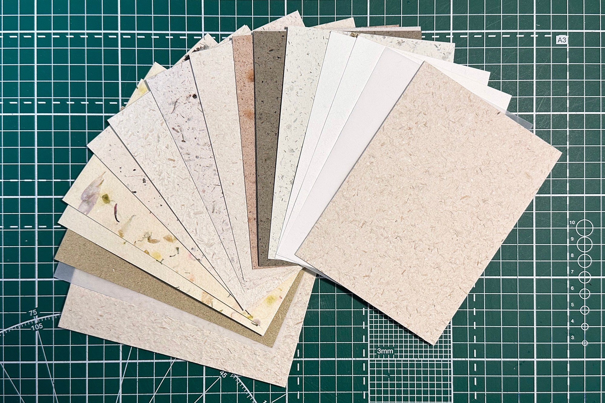 Обновленный artist statement