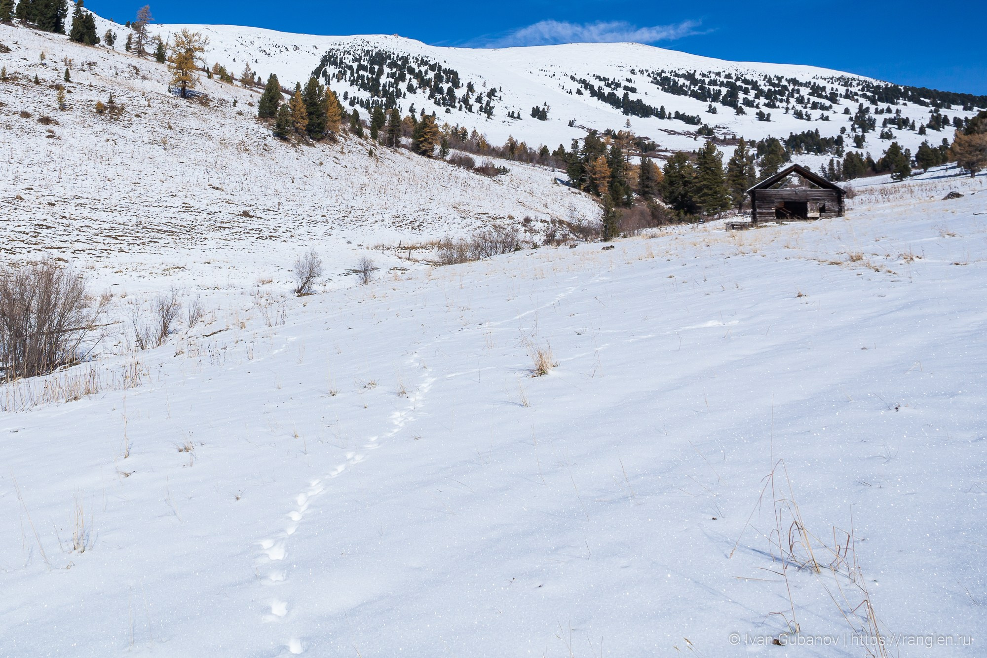 Путешествие на Алтай в 2015 году. Фотограф Иван Губанов