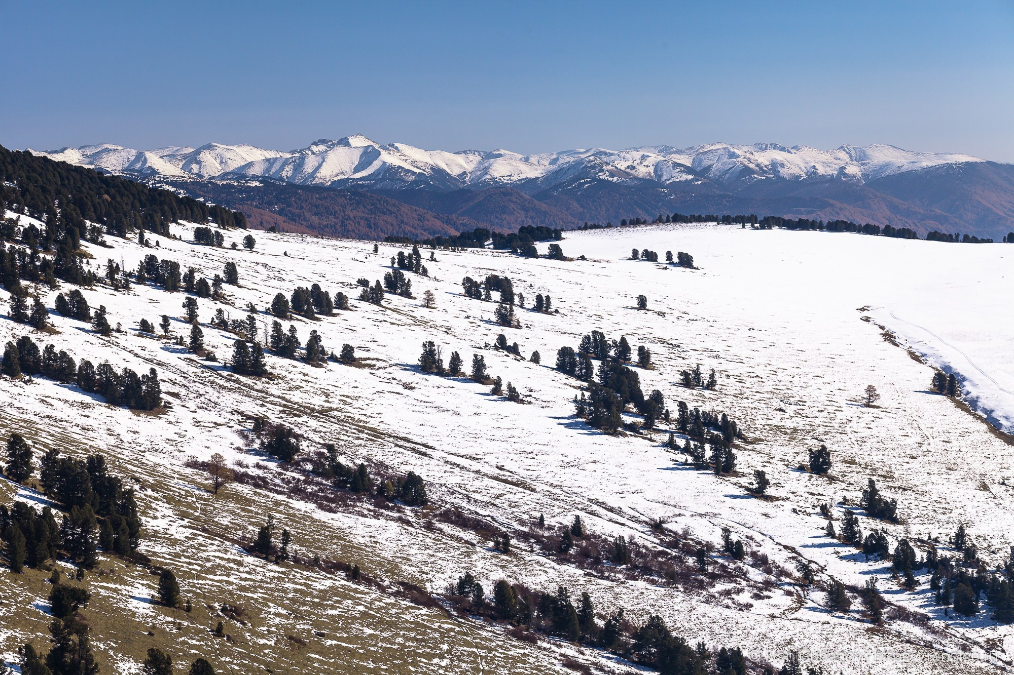 Путешествие на Алтай в 2015 году. Фотограф Иван Губанов