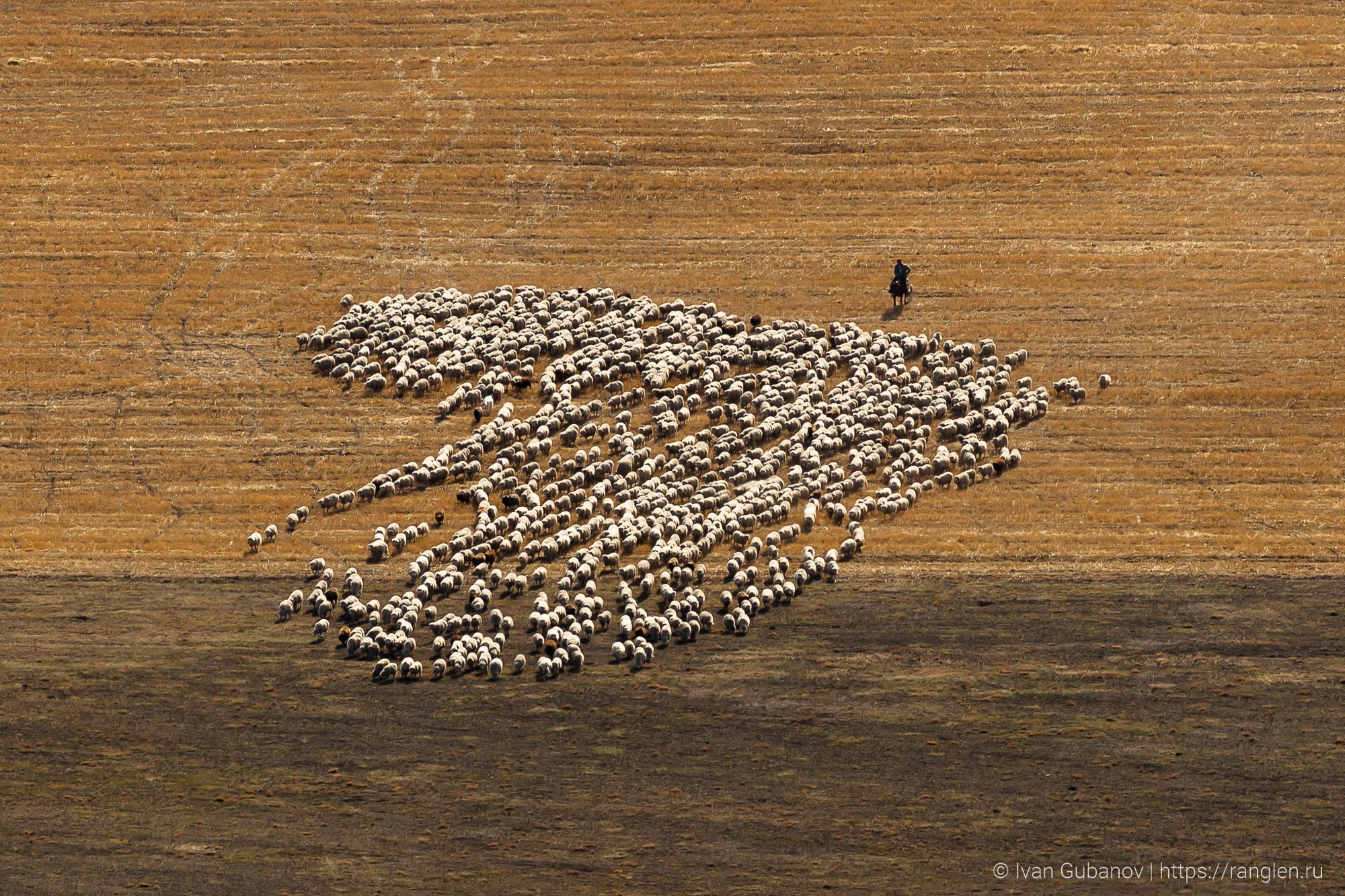 Путешествие на Алтай в 2015 году. Фотограф Иван Губанов