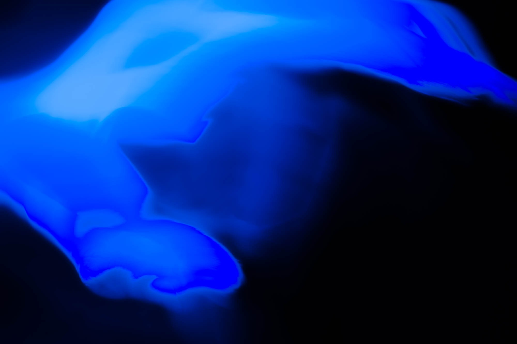 Творческое портфолио