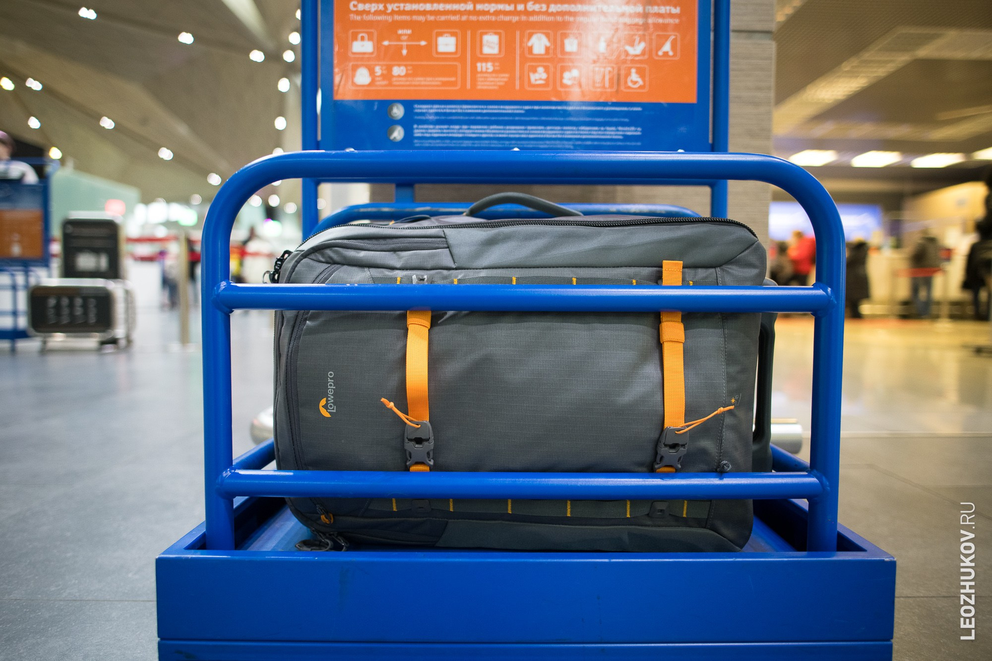 Фотосумка на колёсах Lowepro Whistler. Спортивный фотограф Леонид Жуков