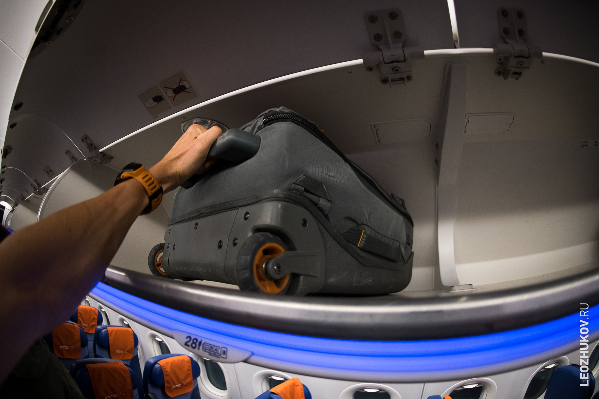 Фотосумка на колёсах Lowepro Whistler. Спортивный фотограф Леонид Жуков