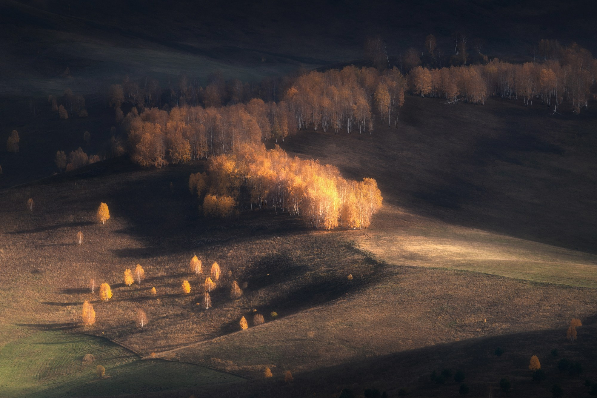 Последнее тепло осени — стихи. Профессиональный пейзажный фотограф Алёна Рубан