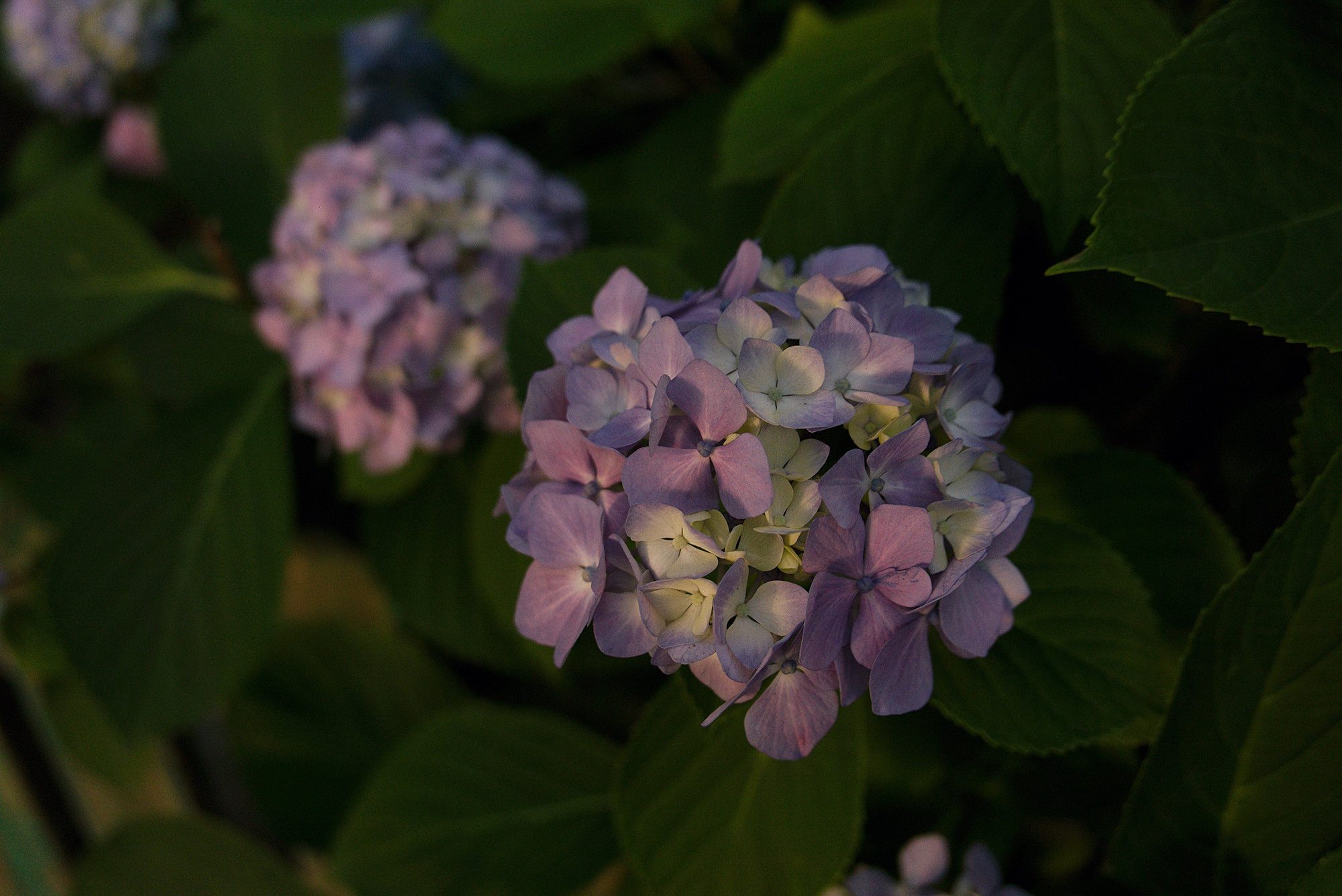 По направлению к маяку