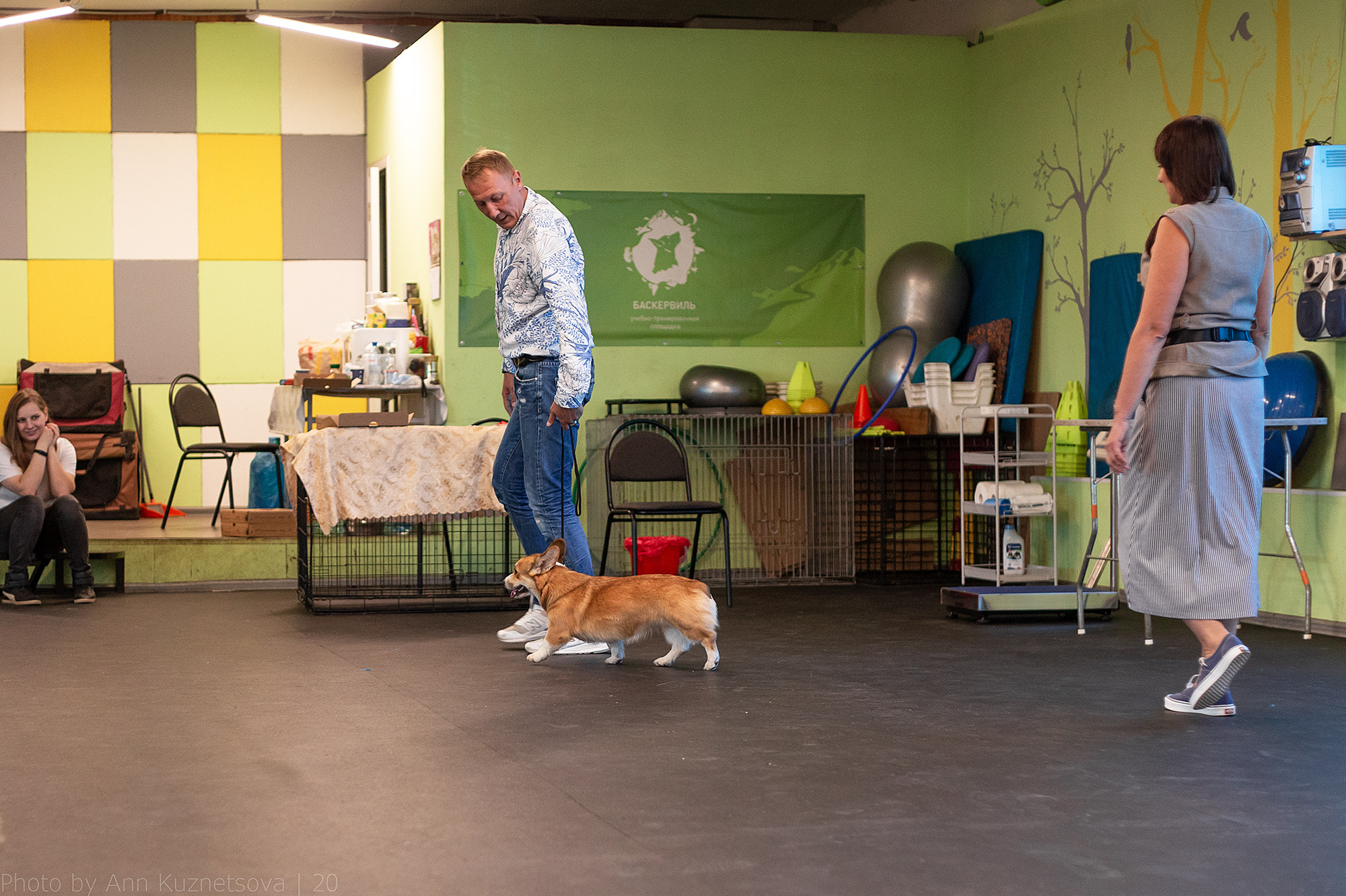 СЕМИНАР «Взгляд судьи из ринга». НРОО КЦ "Собаковод"