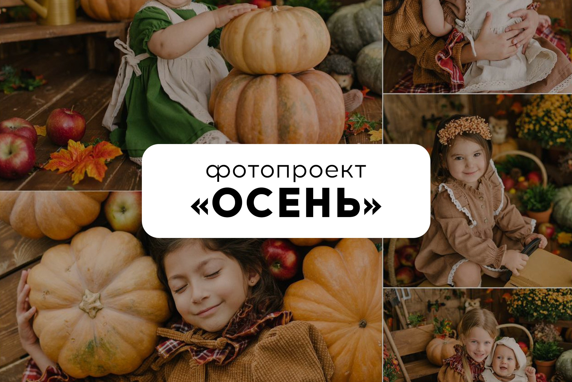 Новости