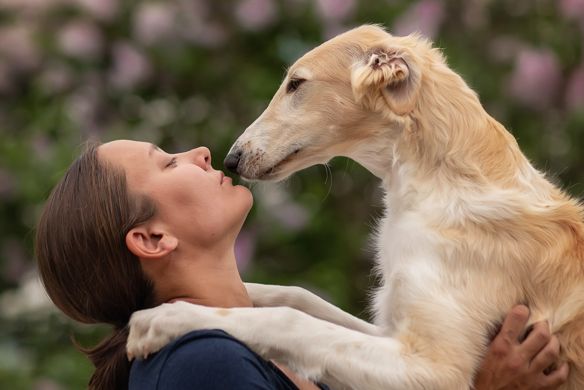Для клиентов. Фотограф для Вашей собаки