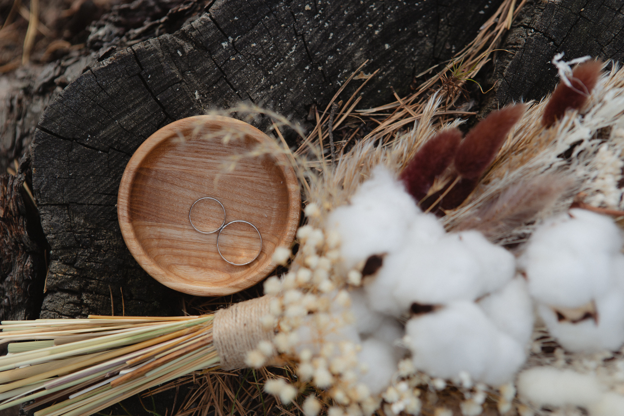 Услуги. Фотограф Ольга Жаркова