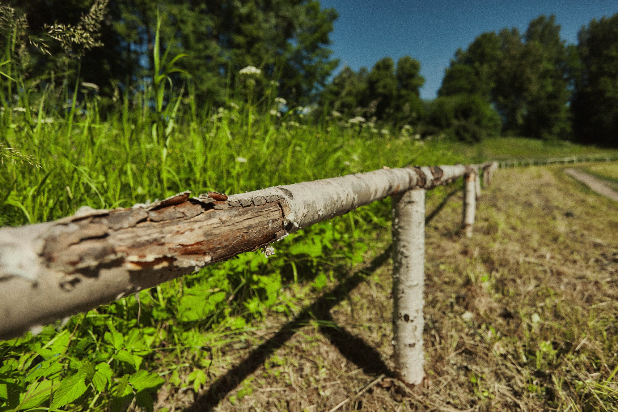 Портретная съёмка СИНИОКО в Павловске с Надеждой из ARLETTE MANAGEMENT. Одежда из Санкт-Петербурга СИНИОКО